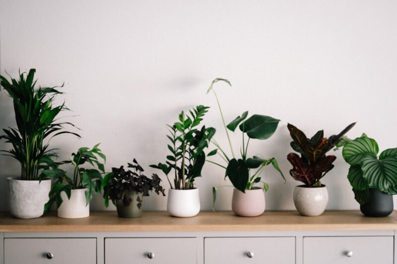 Isolatiemateriaal in een kruipruimte onder een houten vloer