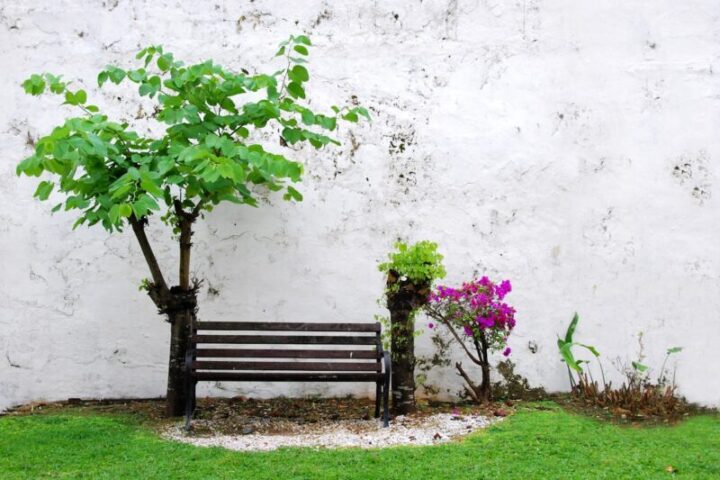 Tuin en terras