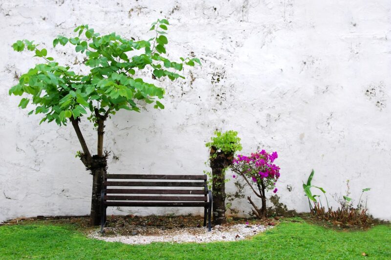 Tuin en terras