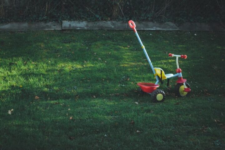 Tuin en terras