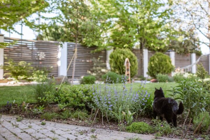 Tuin en terras