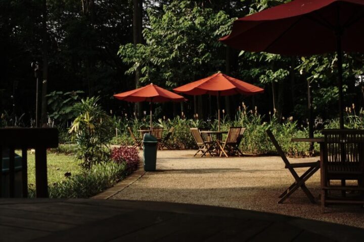 Tuin en terras