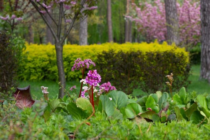 Tuin en terras