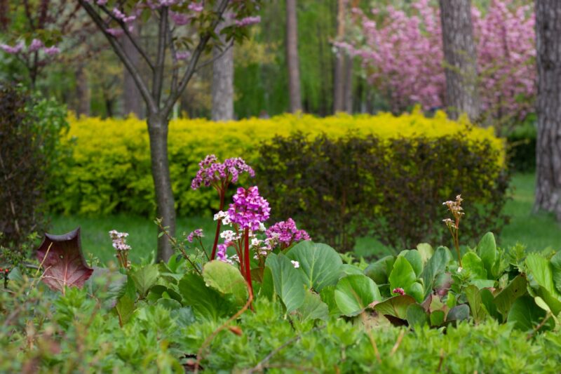 Tuin en terras