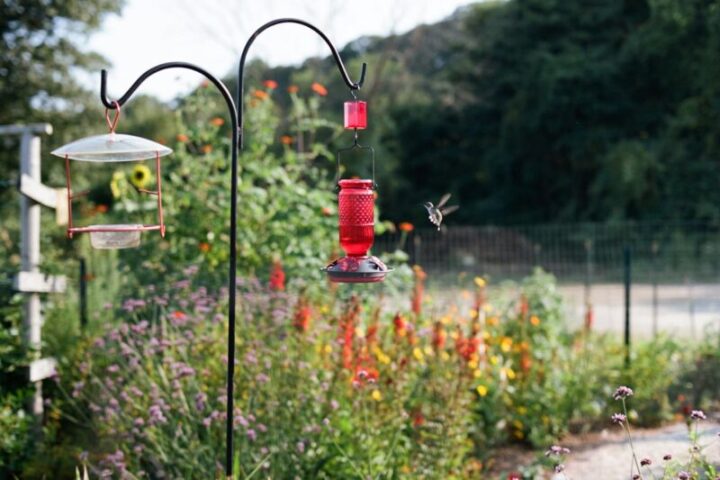 Tuin en terras