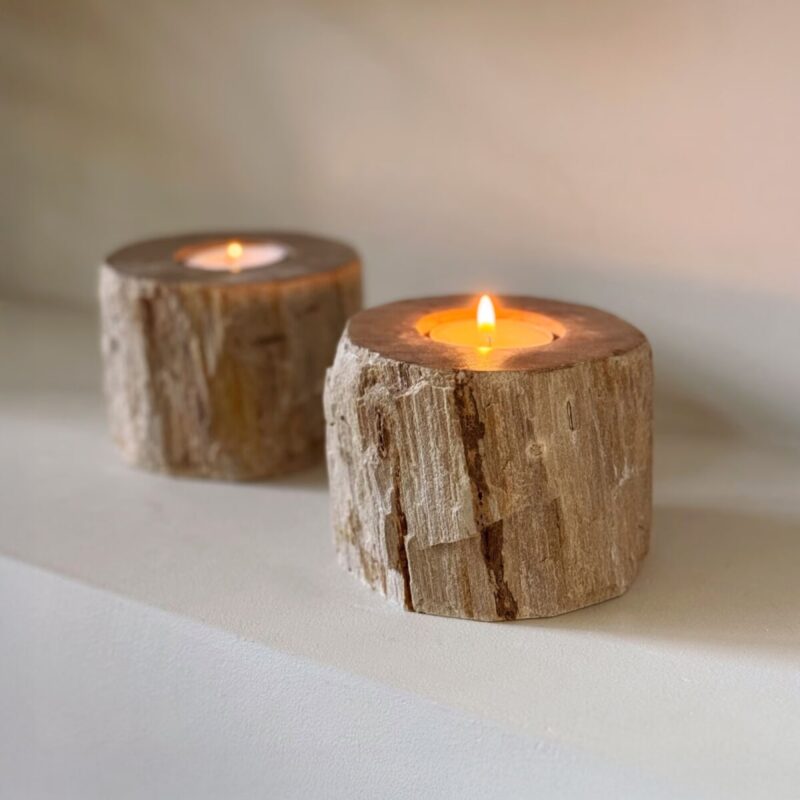 Kaarshouder Fossil Set van 2 stuks van Sohome
