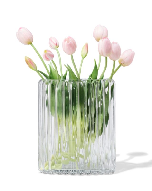 vaas ⌀20x28cm glas ovaal transparant van HEMA